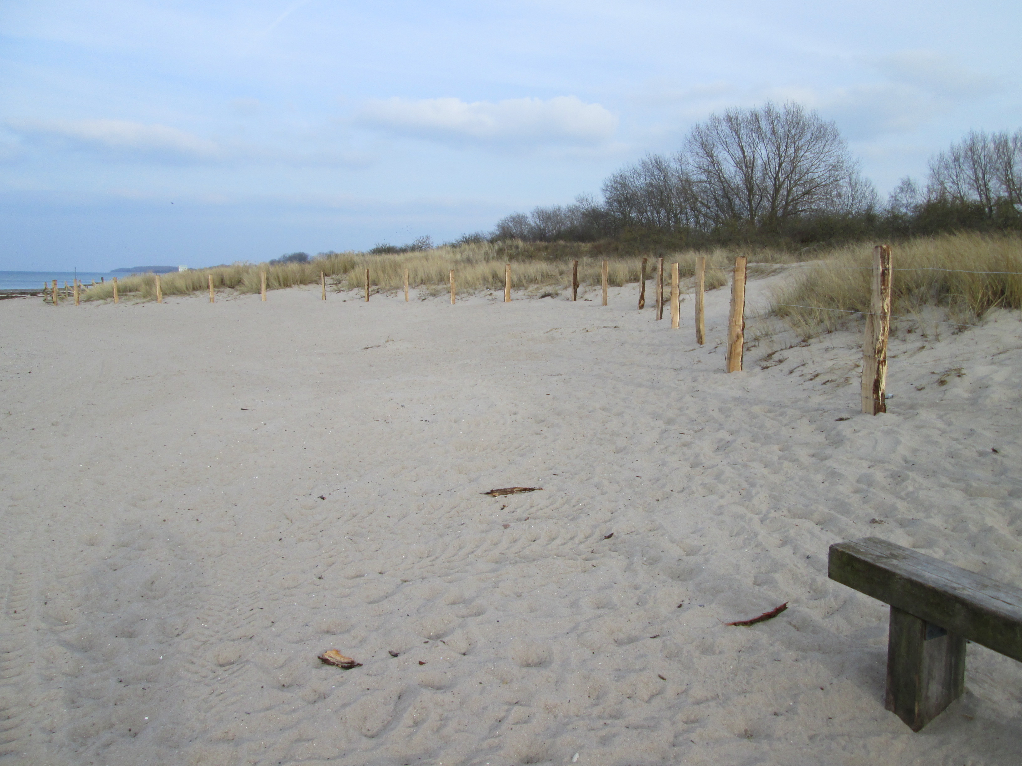 IMG_0427.jpg - 1,72 MB