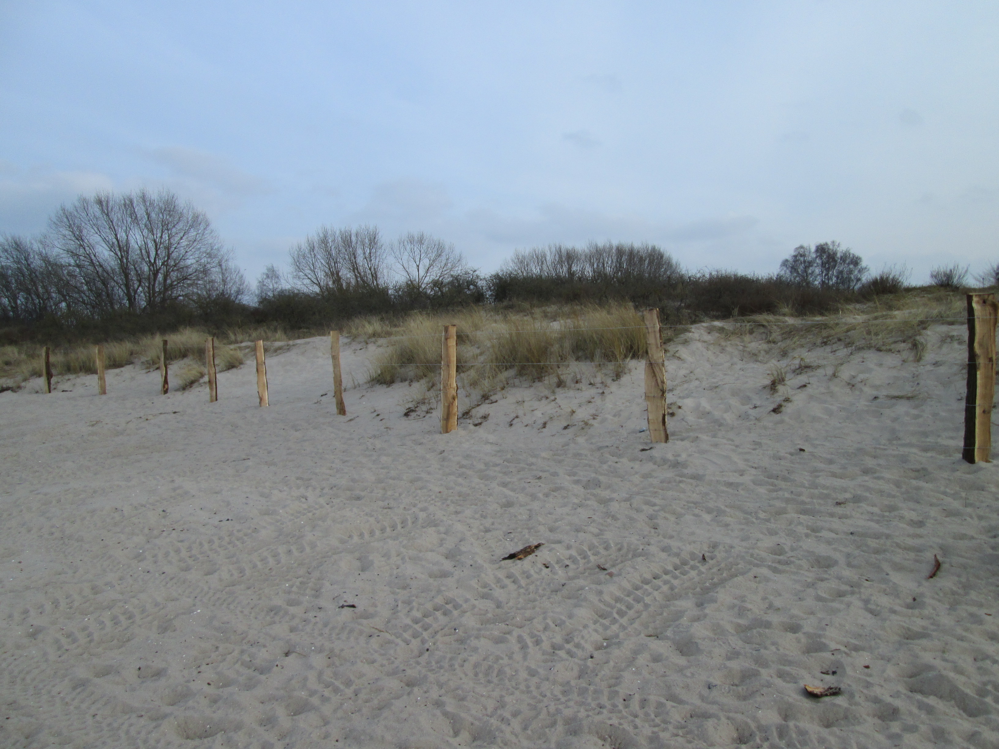 IMG_0428.jpg - 1,85 MB