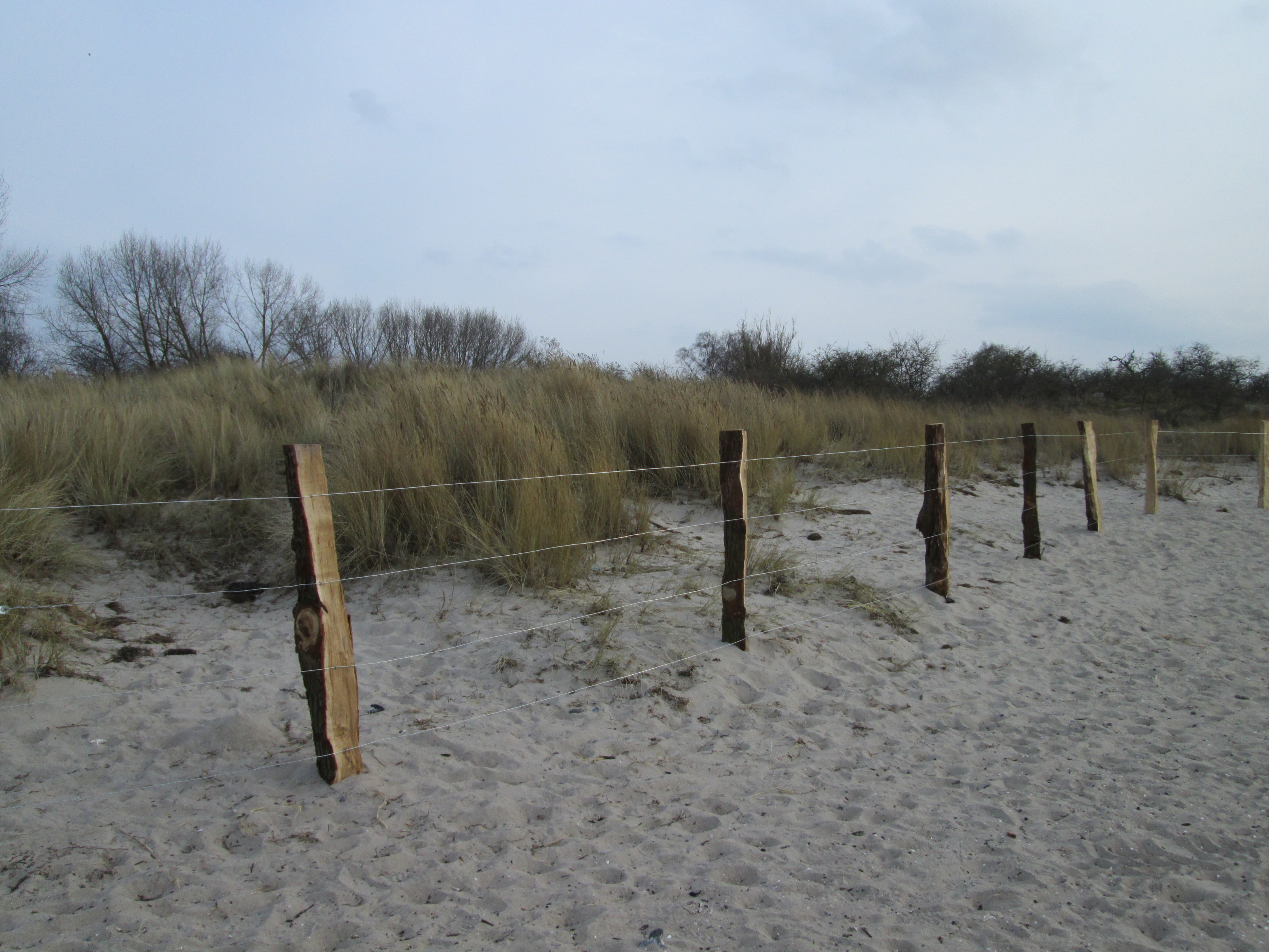 IMG_0430.jpg - 1,88 MB