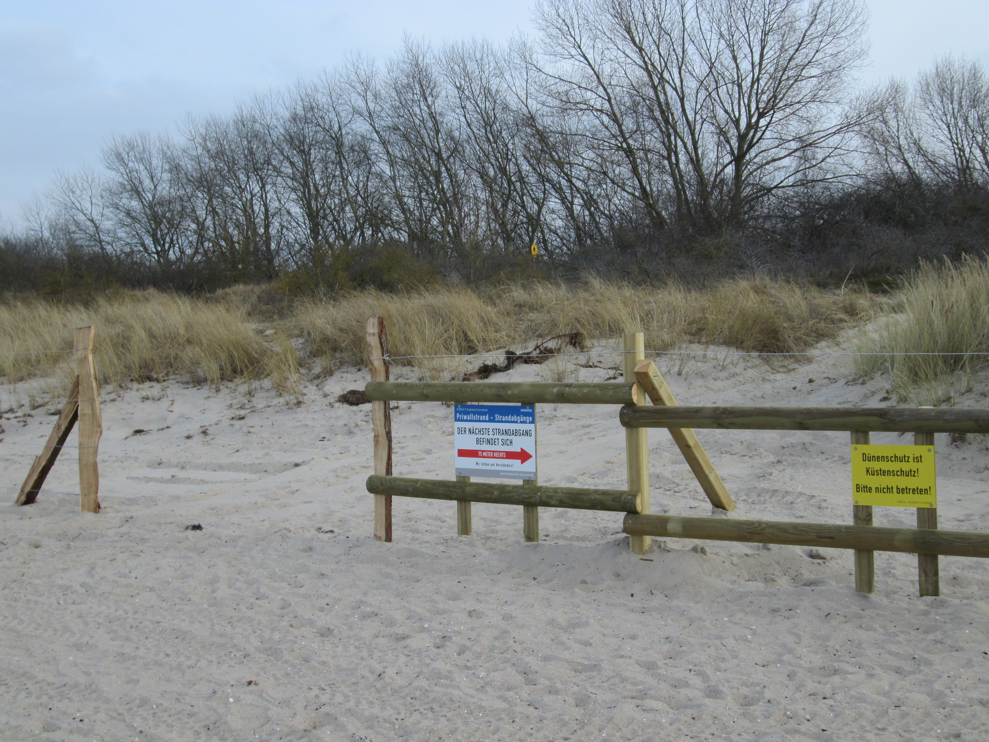 IMG_0431.jpg - 2,49 MB