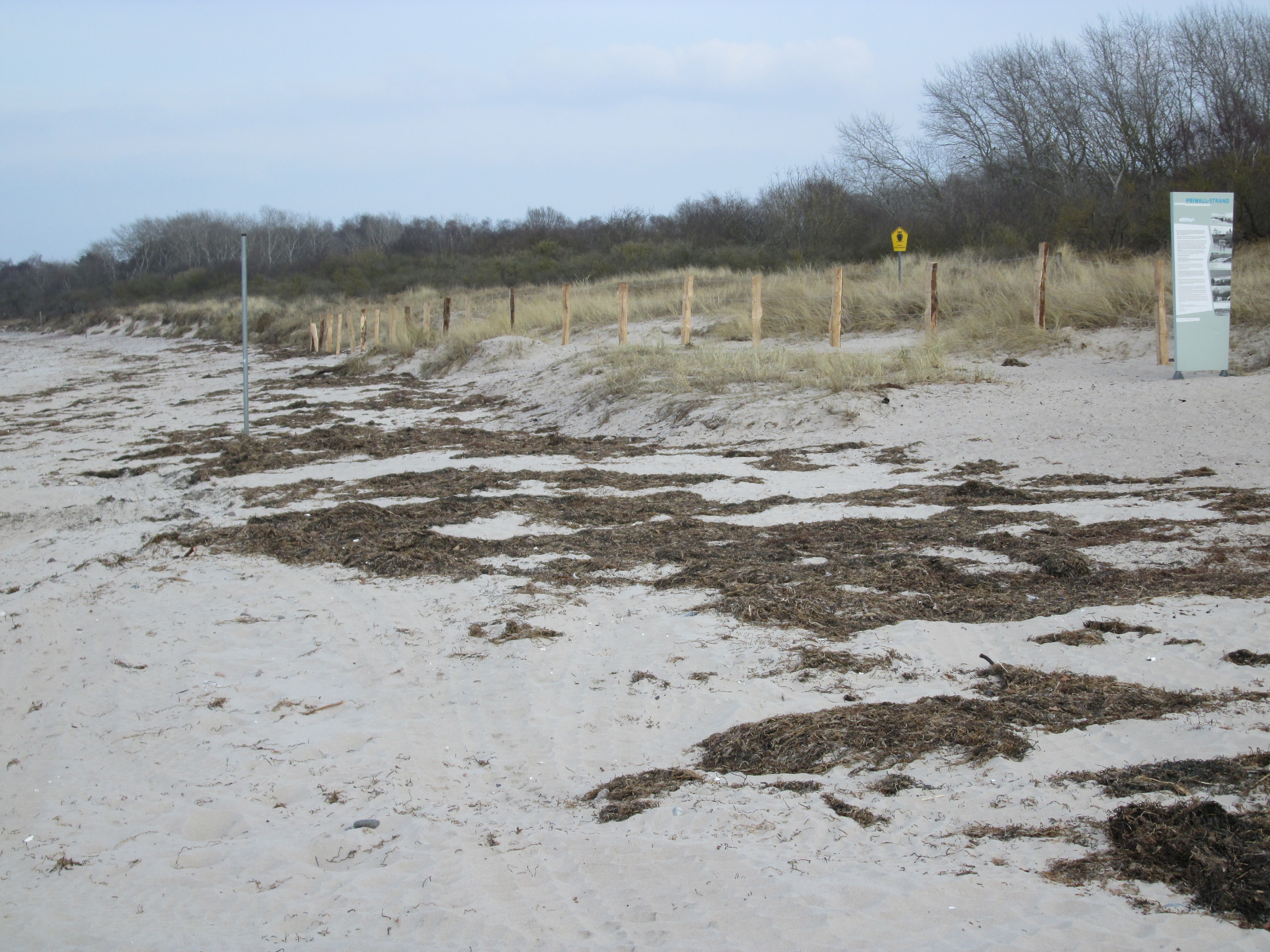 IMG_0432.jpg - 2,37 MB