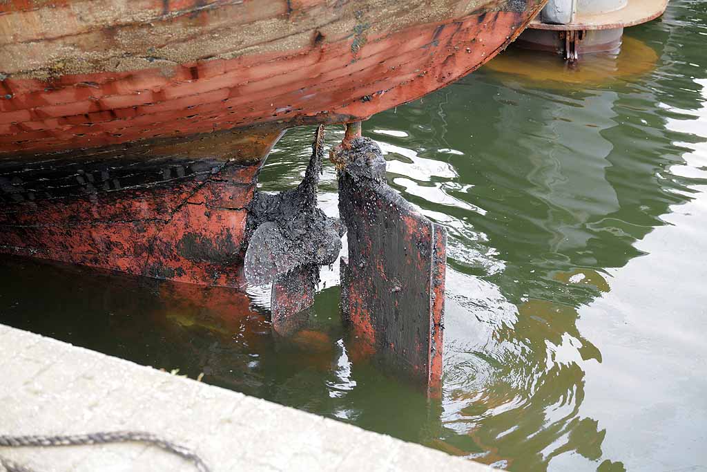 L1070869a.jpg - 124,04 kB