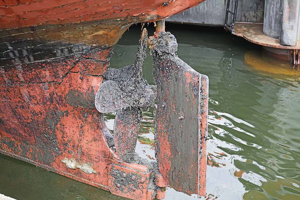 L1070873a.jpg - 176,60 kB