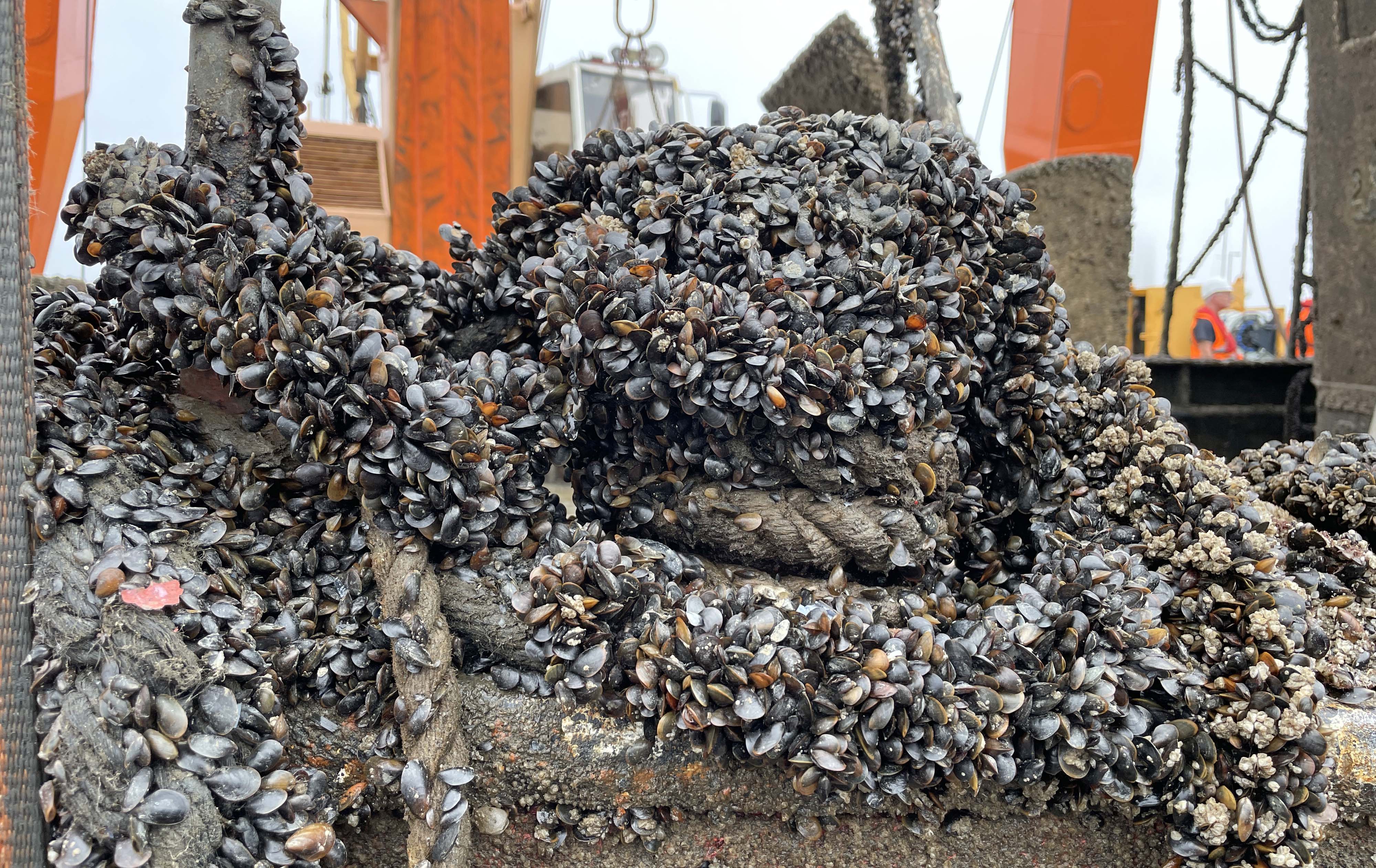 hldresdenbergung11.jpg - 1,41 MB