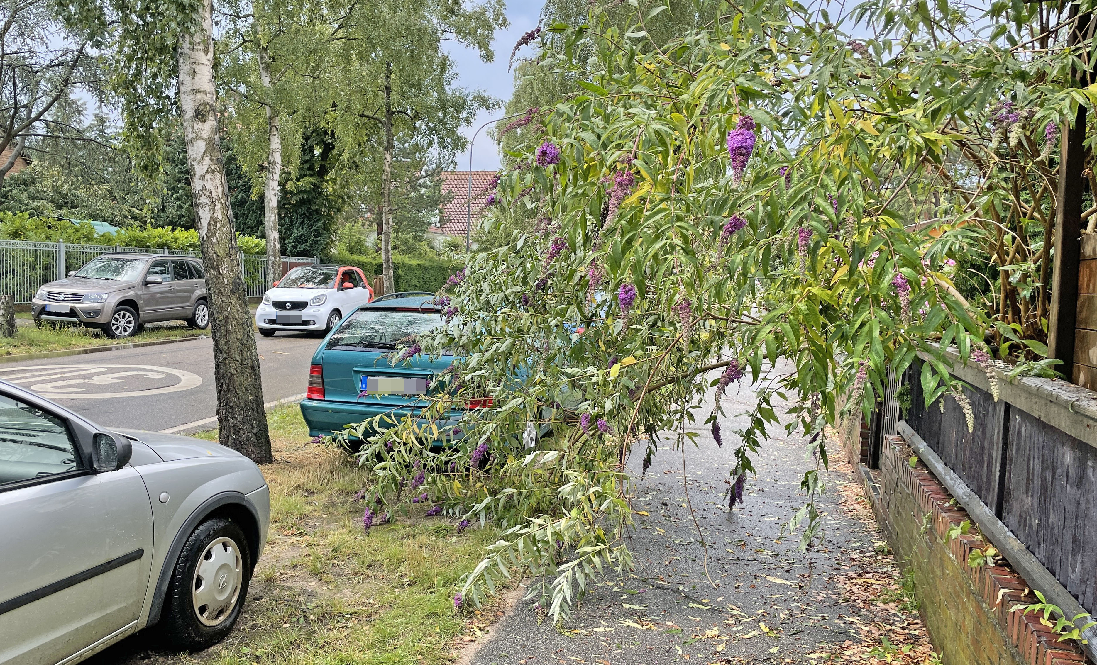 hlunwetterpriwall9.jpg - 2,74 MB